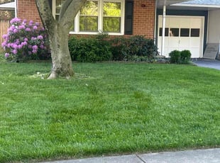 Carolyn A.'s Lawn Mowing Service service result