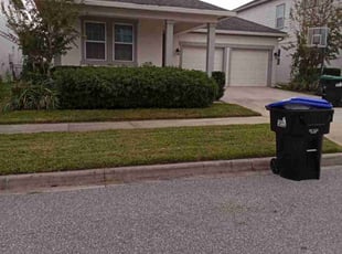 Anthony B.'s Lawn Maintenance service result