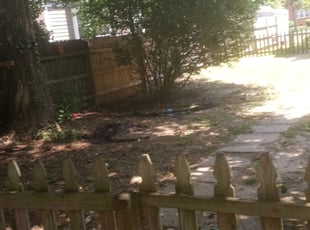 Bush Trimming by Thomas Crowell for Robin H. in Richmond, VA