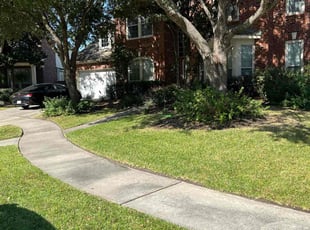 Claudia T.'s Lawn Service service result