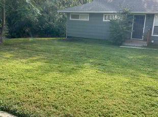 Floyd H.'s Lawn Care service result