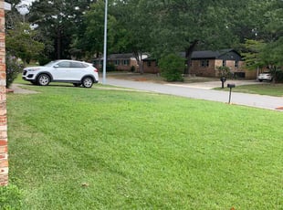 Cheri J.'s Grass Cutting service result