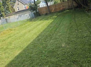Aaron C.'s Lawn Care service result