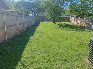 Shanell S.'s Yard Cutting service result