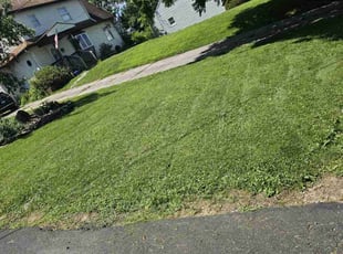 Martha C.'s Lawn Mowing Service service result