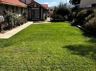 Estelle F.'s Lawn Care service result
