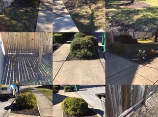 Weeding by Teno Cardoso for Dave S. in San Antonio, TX