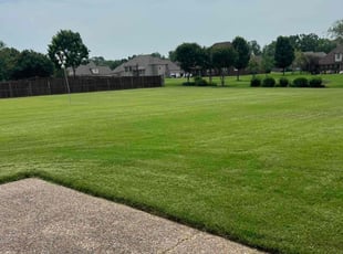 Ryan J.'s Lawn Service service result