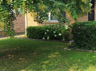 Bush Trimming by Coltin Ray for Kacey J. in Birmingham, AL
