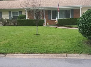 Bush Trimming by Justin Bryant for Michelle P. in Virginia Beach, VA