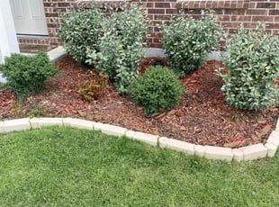 Weeding by Johnny Stoeppleman for Krista G. in Haslet, TX