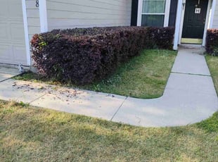 Bush Trimming by Macon Ramsey for Eve H. in Jacksonville, FL