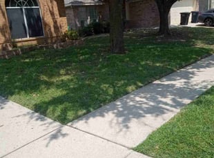 Gloria C.'s Yard Cutting service result