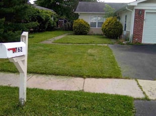 Wuandale G.'s Lawn Service service result