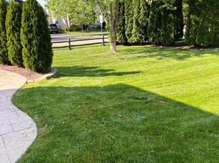 Debisree S.'s Grass Cutting service result