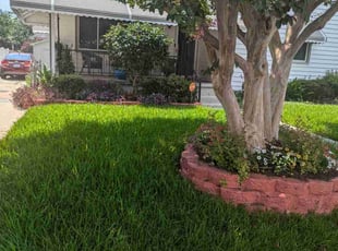 Matthew B.'s Lawn Maintenance service result