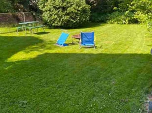 Henry P.'s Lawn Care service result