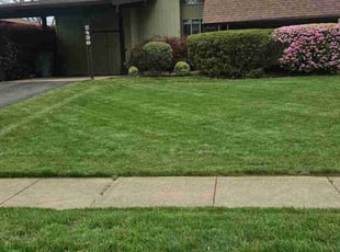Lucas W.'s Yard Cutting service result