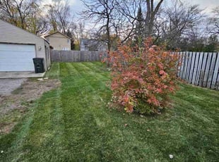 Ken A.'s Lawn Mowing Service service result