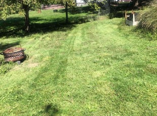 Sharon P.'s Lawn Care service result