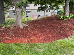 Mulching by Henry Jimenez for Arumugam S. in Windsor, CT