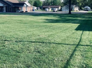 William D.'s Yard Cutting service result