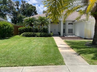 Rey S.'s Lawn Care service result