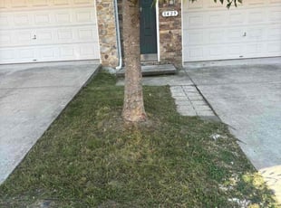 Ivy S.'s Lawn Care service result