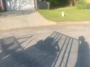 Lisa N.'s Lawn Mowing service result