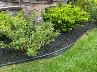 Weeding by Shane Fellers for Abe E. in Canton, MI
