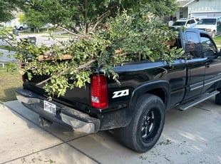 Cleanups by Bobby Green for Karina P. in Buda, TX
