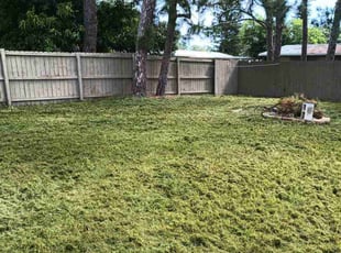 Karen O.'s Lawn Service service result