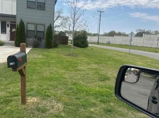 Griselda N.'s Grass Cutting service result