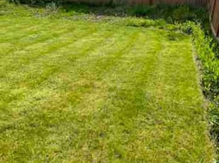 Justy V.'s Lawn Service service result