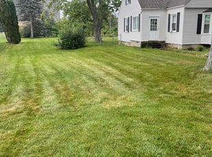 Zack C.'s Yard Cutting service result