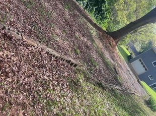 Leaf Removal by Anthony Gravely for Daniel L. in Greenville, SC