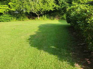 Justin C.'s Yard Cutting service result