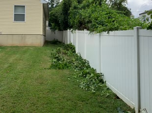 Bush Trimming by Leo Cannon for Theresa G. in Willow Grove, PA