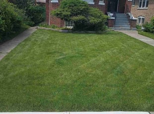 Angela H.'s Lawn Service service result
