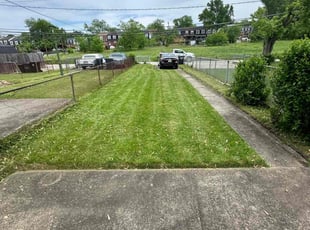 Chico M.'s Lawn Care service result