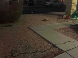 Elizabeth R.'s Weeding service result