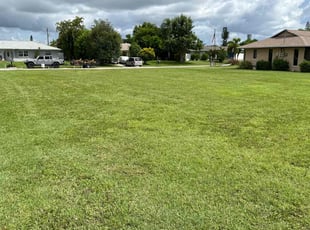 Sheila M.'s Lawn Maintenance service result