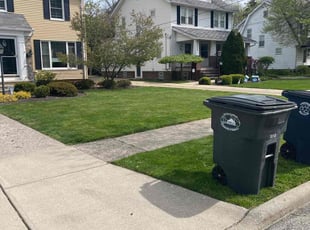 Zachary S.'s Lawn Service service result