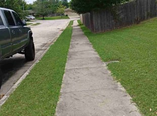 Mario A.'s Lawn Care service result