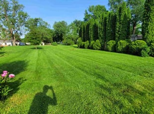 Ann L.'s Lawn Service service result