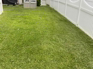 Alice B.'s Lawn Service service result