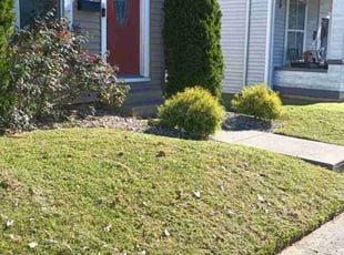 GERTA C.'s Lawn Mowing service result