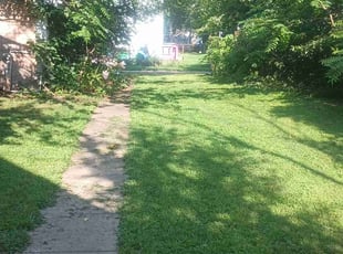 Jeffrey S.'s Grass Cutting service result
