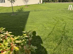 Brenda S.'s Lawn Care service result