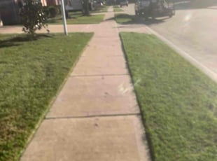 Frank B.'s Lawn Service service result